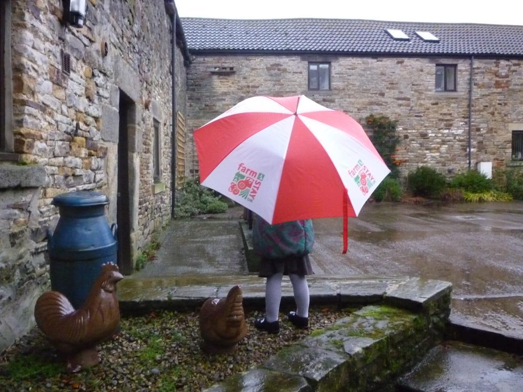 Rye Hill Farm Bed & Breakfast Hexham Exterior photo