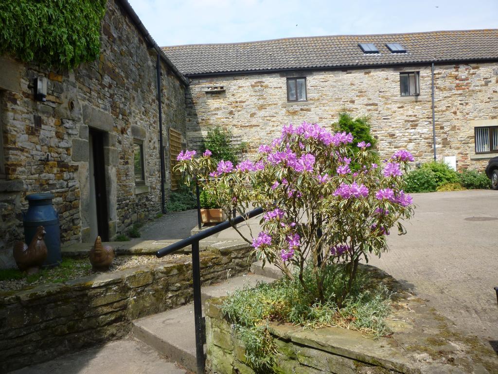 Rye Hill Farm Bed & Breakfast Hexham Exterior photo