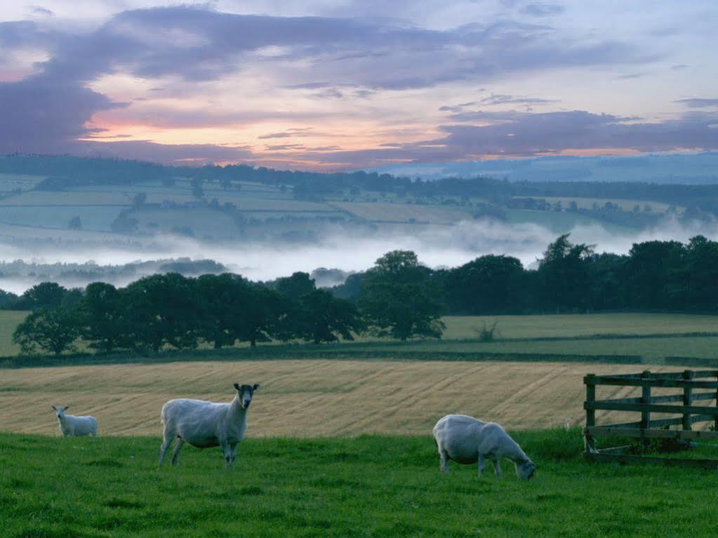 Rye Hill Farm Bed & Breakfast Hexham Exterior photo
